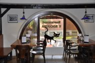 Restaurace U Kocoura